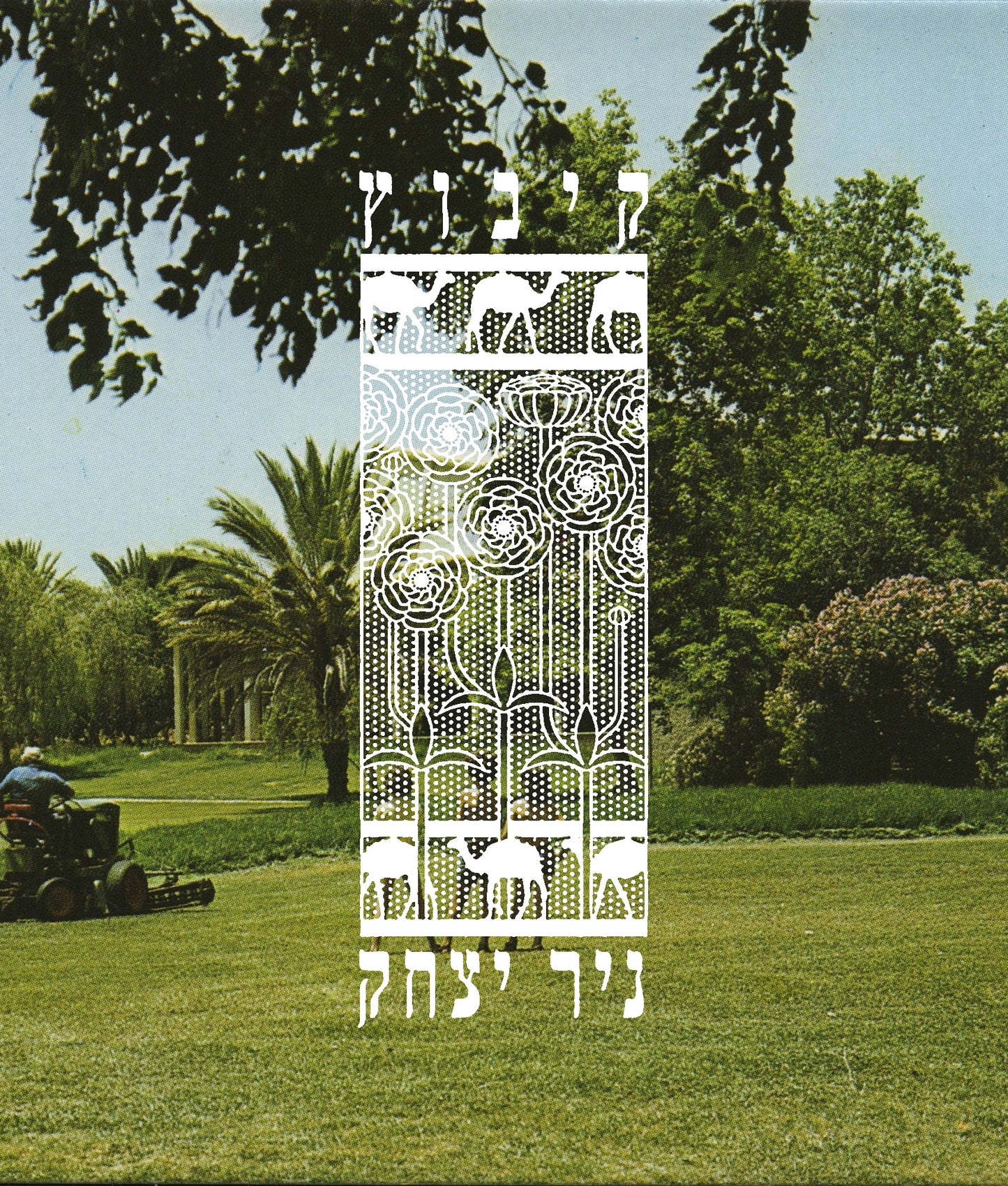 ניר יצחק