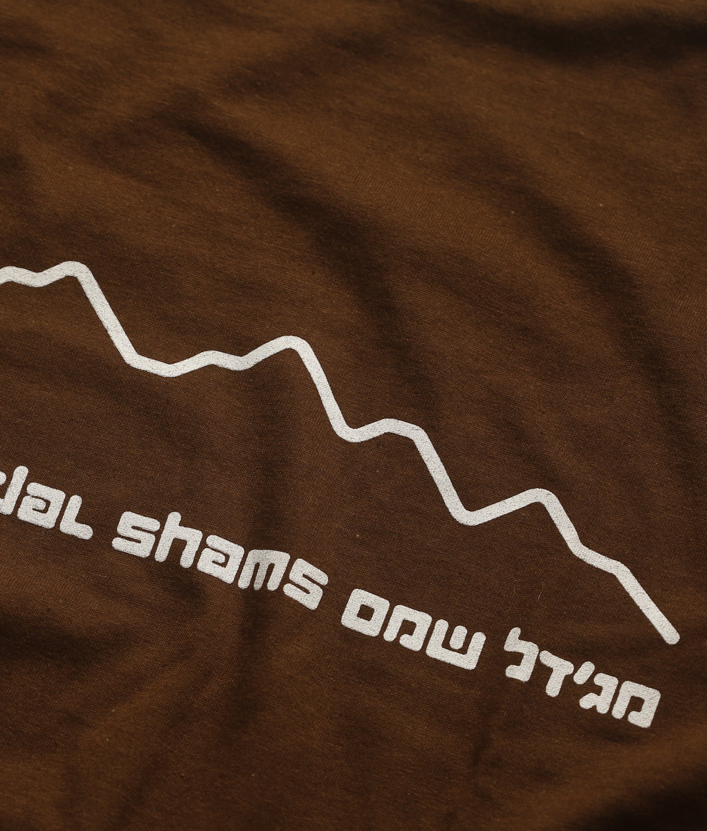 מג'דל שמס